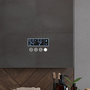 Panoul LCD