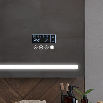 Panoul LCD