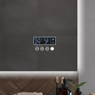 Panoul LCD