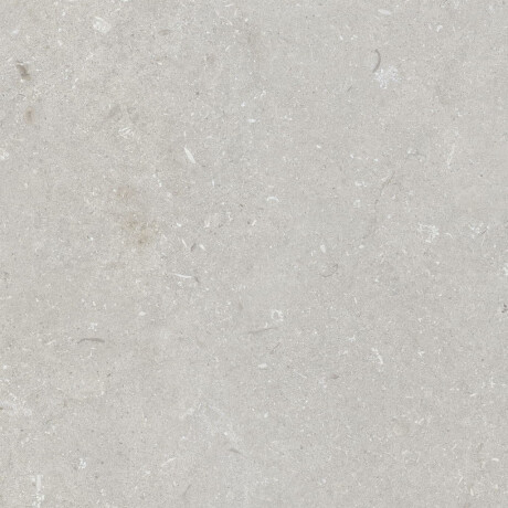 Gresie pentru pardoseală 60x120 cm, gri deschis mat, A4H1093 Shellstone Bianco #1
