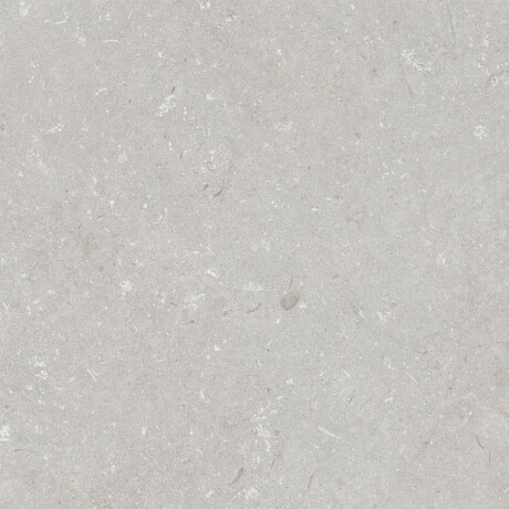 Gresie pentru pardoseală 60x120 cm, gri deschis mat, A4H1093 Shellstone Bianco #2