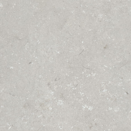 Gresie pentru pardoseală 60x120 cm, gri deschis mat, A4H1093 Shellstone Bianco #3