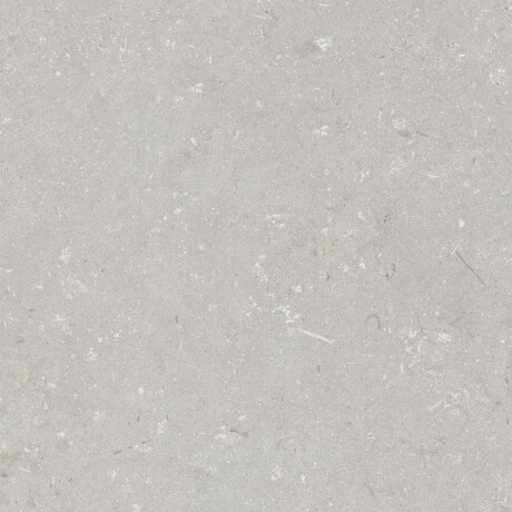 Gresie pentru pardoseală 60x120 cm, gri deschis mat, A4H1093 Shellstone Bianco #4