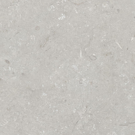 Gresie pentru pardoseală 60x120 cm, gri deschis mat, A4H1093 Shellstone Bianco #5