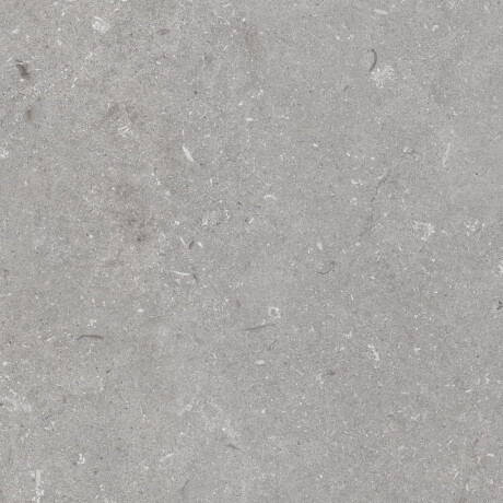Gresie pentru pardoseală 60x120 cm, gri mat, A4H1096 Shellstone Grigio #4