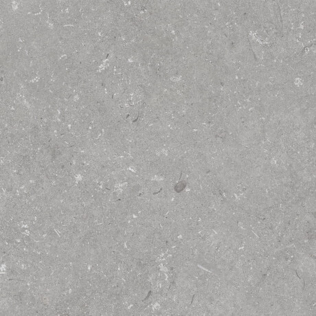 Gresie pentru pardoseală 60x120 cm, gri mat, A4H1096 Shellstone Grigio #5