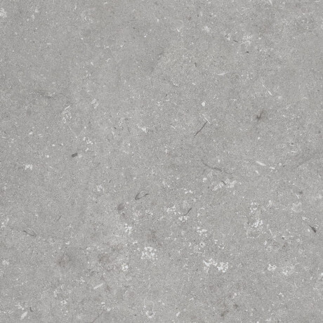 Gresie pentru pardoseală 60x120 cm, gri mat, A4H1096 Shellstone Grigio #6
