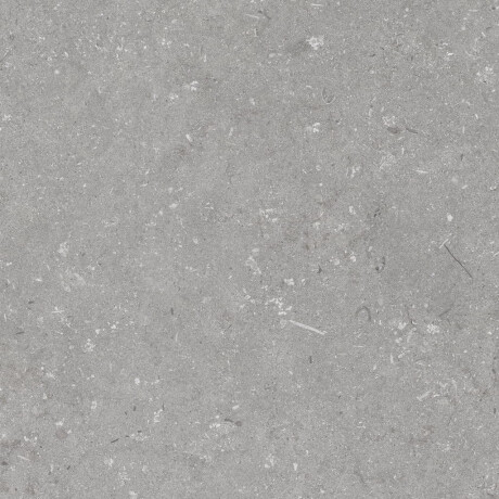 Gresie pentru pardoseală 60x120 cm, gri mat, A4H1096 Shellstone Grigio #7