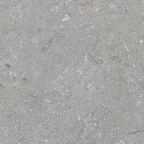 Gresie pentru pardoseală 60x120 cm, gri mat, A4H1096 Shellstone Grigio #8