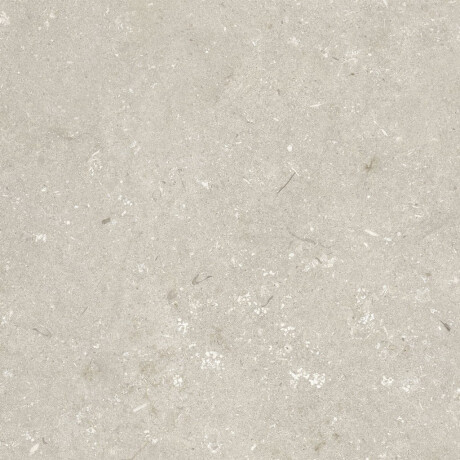 Gresie pentru pardoseală 60x120 cm, bej mat, A4H1099 Shellstone Beige #5