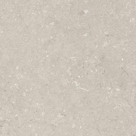 Gresie pentru pardoseală 60x120 cm, bej mat, A4H1099 Shellstone Beige #6