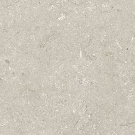 Gresie pentru pardoseală 60x120 cm, bej mat, A4H1099 Shellstone Beige #7