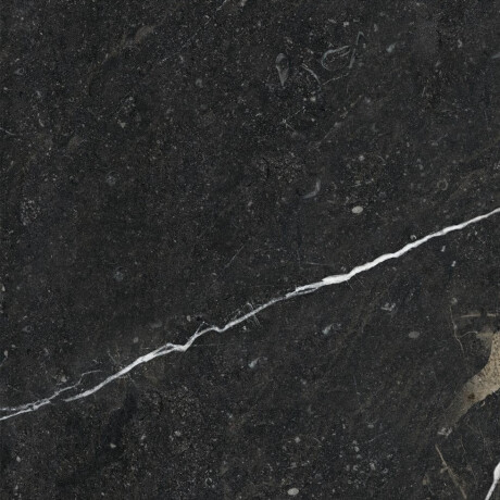 Gres smălțuit pentru pardoseală 60x120, cu venă aurie, mat, rectificat, A4H110 Pierre Black #20