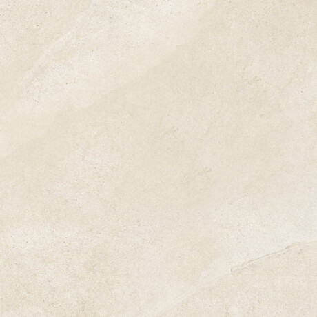 Gres pentru pardoseală 60,5x120,5, gri-bej taupe, aspect de piatră mată, A4H485 Fusion Brown #4