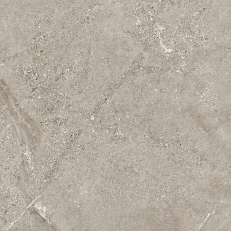 Gresie de piatră cu venaturi pentru pardoseală, 100x100, mată, gri A4H506 Volterra Grey #2