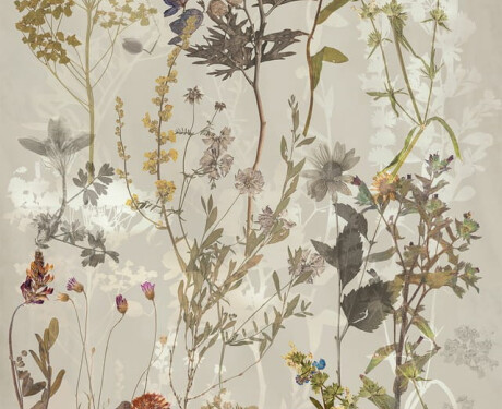 Gresie pentru pereți 60x120 cm, gri, cu motive florale, finisaj mat, A4H919 Glame