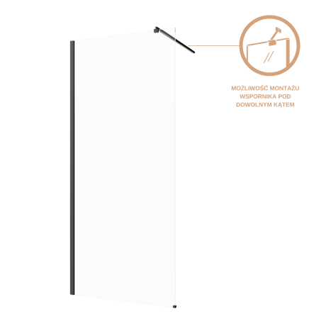 Cabină de intrare din sticlă transparentă profil negru #7
