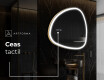 Oglinzi pentru baie cu LED în formă neregulată J222 #9