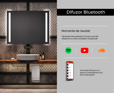 Dreptunghiulara oglinda cu LED la comanda L02 #6