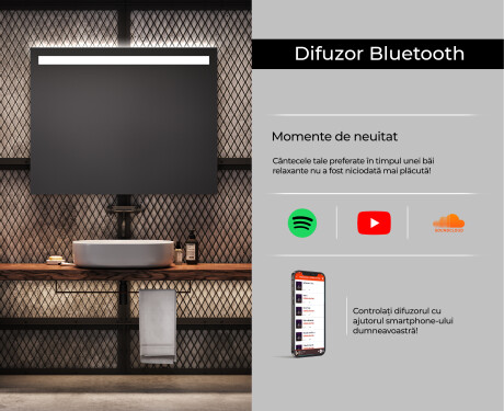Dreptunghiulara oglinda cu LED la comanda L12 #6
