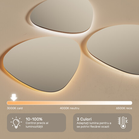 Oglindă neregulată cu iluminare LED – 60x90/70x100 cm într-un cadru din aluminiu argintiu #5