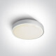 RAFTI E plafonieră 12 W, IP65, gri #1