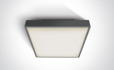 PIRNARI AN plafonieră 24 W 3000 K IP65 gri