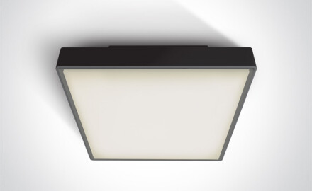 PIRNARI EA plafonieră 2x12W E27 IP65 antracit