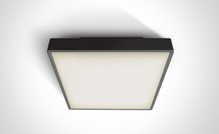 PIRNARI E, plafonieră 12 W, E27, IP65, antracit