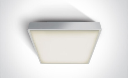 PIRNARI E, plafonieră 12 W, E27, IP65, gri