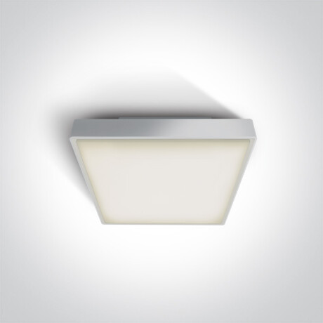 PIRNARI E, plafonieră 12 W, E27, IP65, gri #1