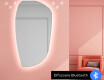 Oglinzi pentru baie cu LED în formă neregulată I221 #7