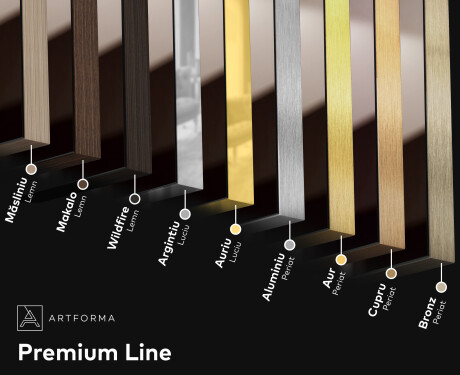 Oglinda baie cu leduri perete SMART L77 Samsung #9